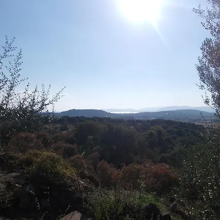 Montericciu *